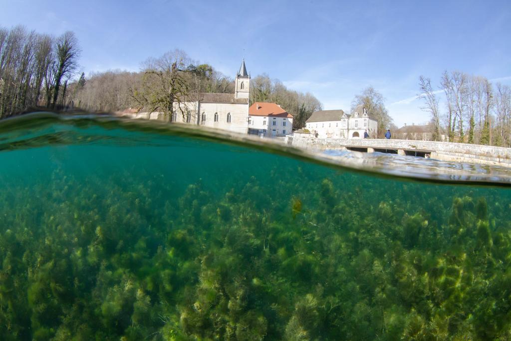 Gentilhommiere Eaux Bleues Bed & Breakfast Ecot-la Combe Luaran gambar